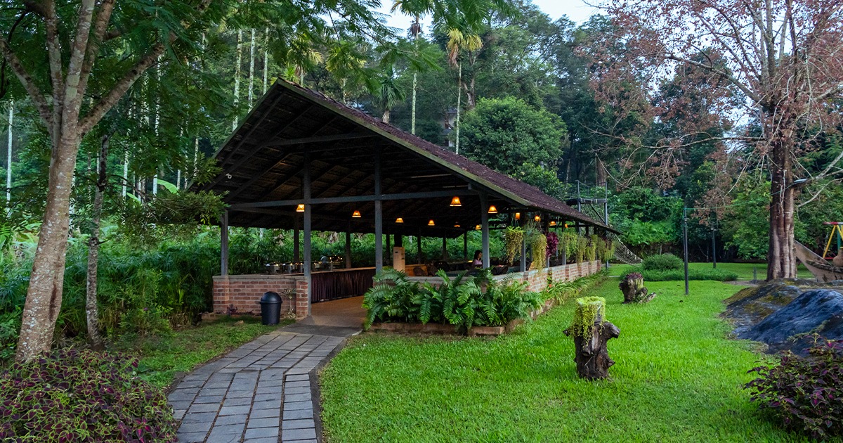 Resorts in Wayanad with Activities