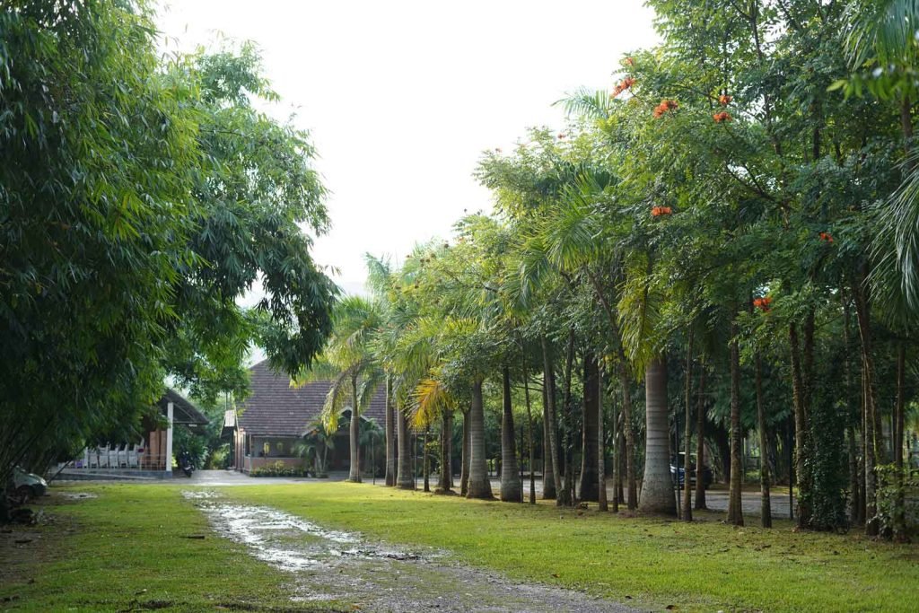 Premium resorts in Wayanad