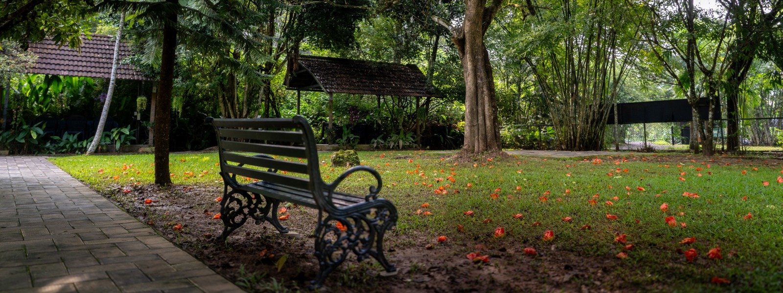 Family Resorts in Wayanad